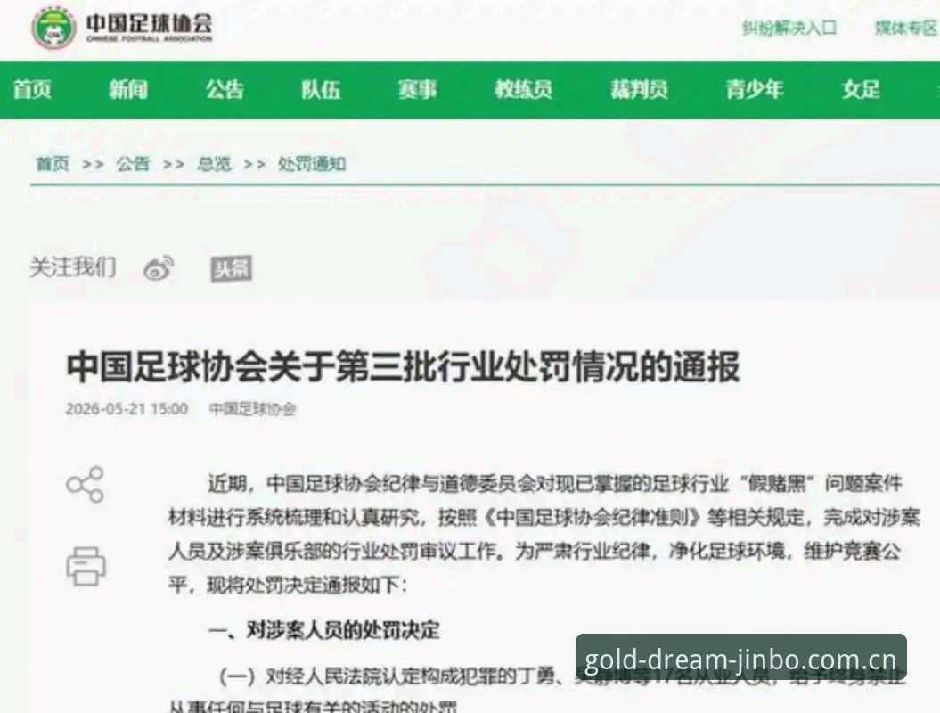 金博体育实况数据官方下载 揭秘足协第三批禁足名单背后的信号:从数据透明化看足球行业刮骨疗毒